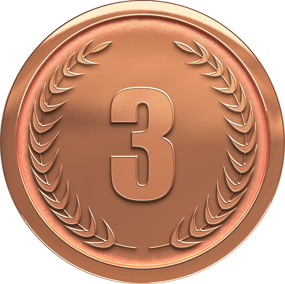 3rd place medal